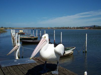 2 / 72 Pur Pur Avenue, Lake Illawarra