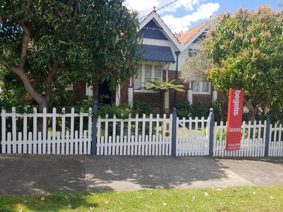 31 Barton Avenue, Haberfield