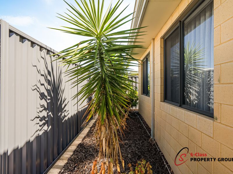 32 Pedicel Avenue, Baldivis