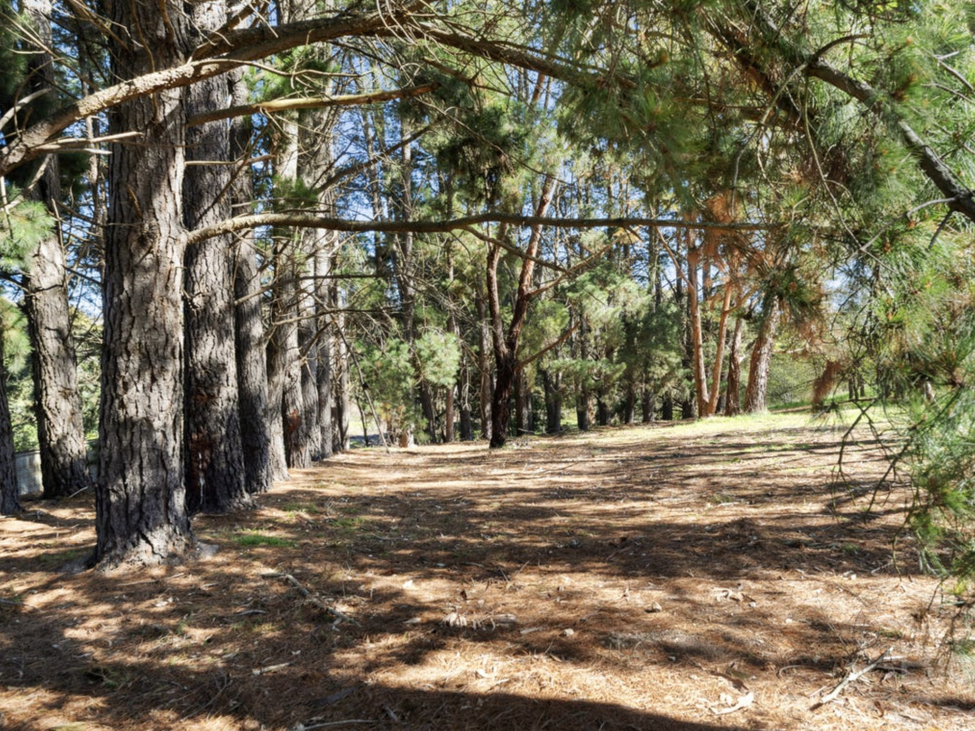 Creswick