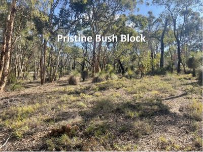 Lot 56 Hidaway Drive, Bindoon