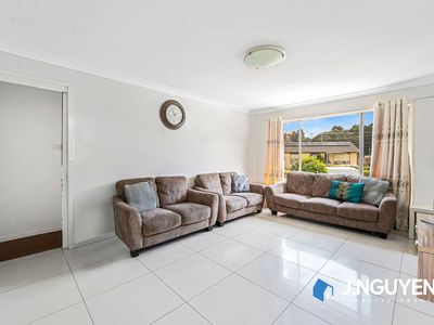 4 Chelsea Drive, Canley Heights