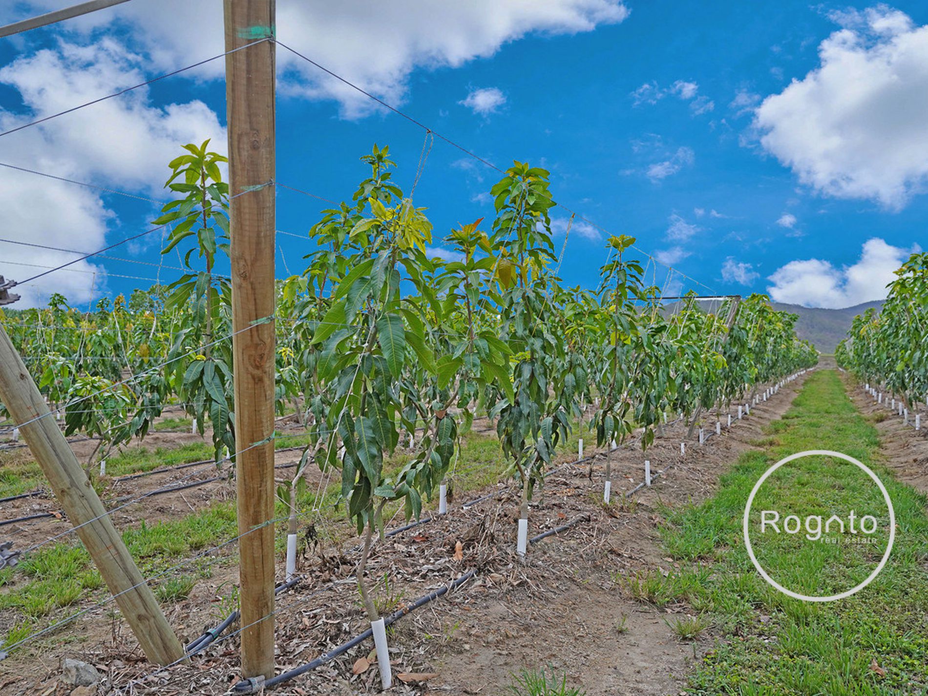 387 Fassio Road, Mareeba