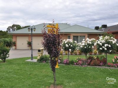 31 Allandale Drive, Dubbo