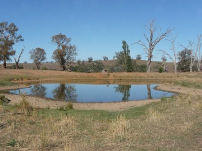 Boxwood Park Road, Bungowannah