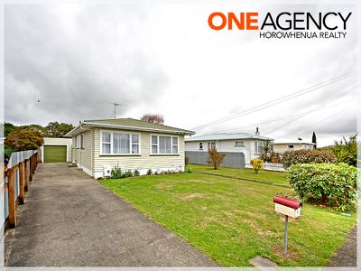 17 Clyde Street, Levin