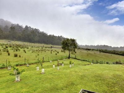 867 Woodbridge Hill Road, Gardners Bay