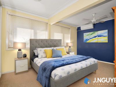 2 Barlow Crescent, Canley Heights