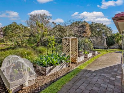 16 Semillon Avenue, Henderson