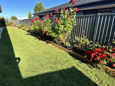 64 Daly Drive, Lucas