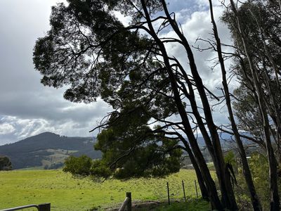 Lot 1, Sunny Hills Road, Glen Huon