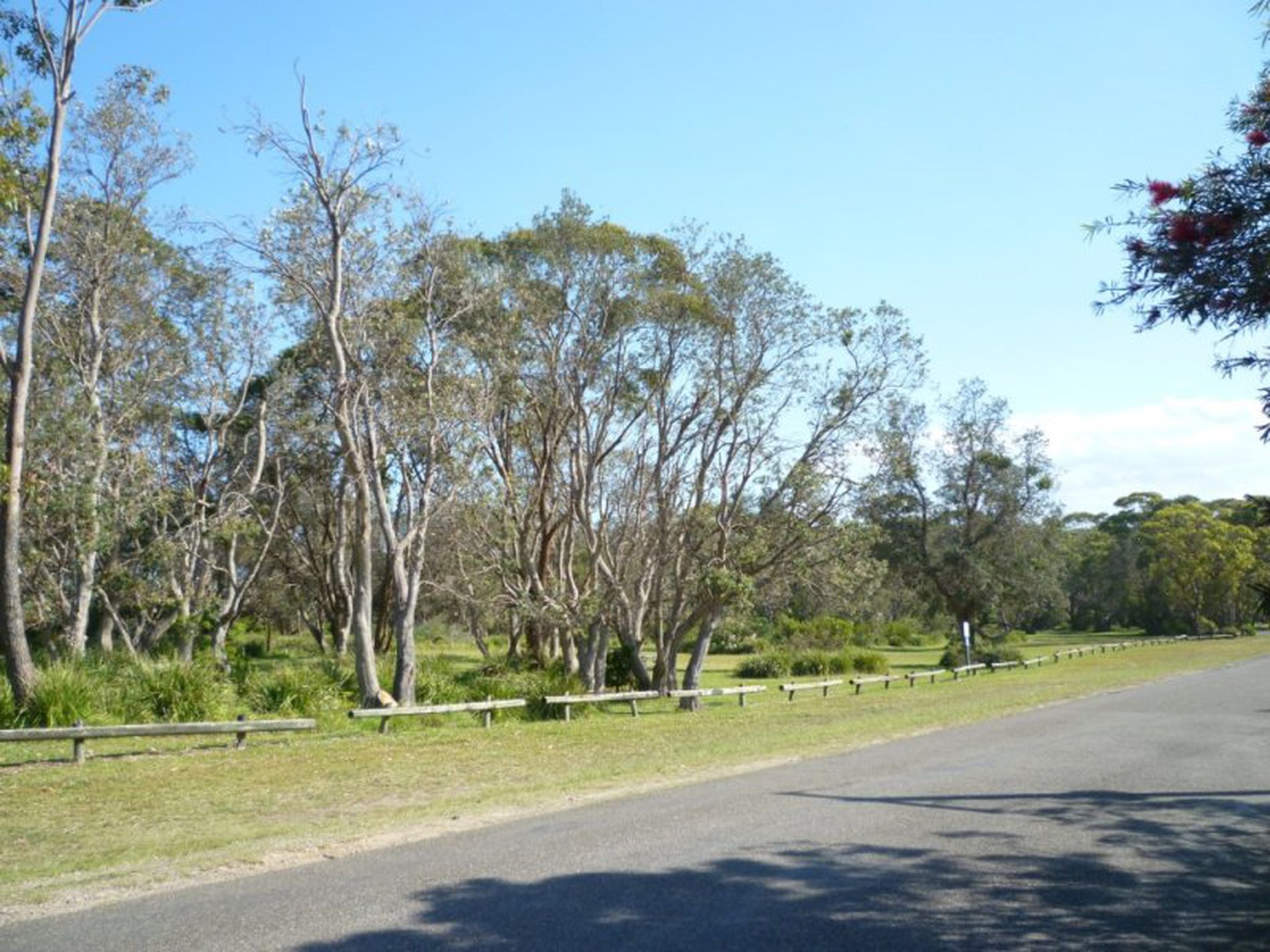 57 Matron Porter Drive, Narrawallee