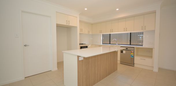 8 Tannin Street, Bellbird