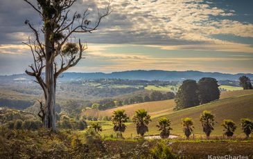 11 Belvedere Court, Gembrook