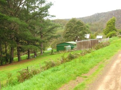 231 Guys Road, Cygnet