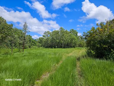 1741 Endeavour Valley Road, Cooktown