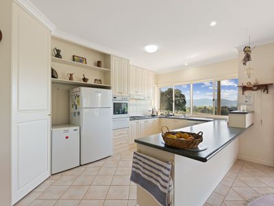 97 Meehan Lane, Osbornes Flat