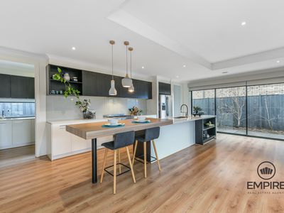 16 Pickerel Avenue, Clyde North