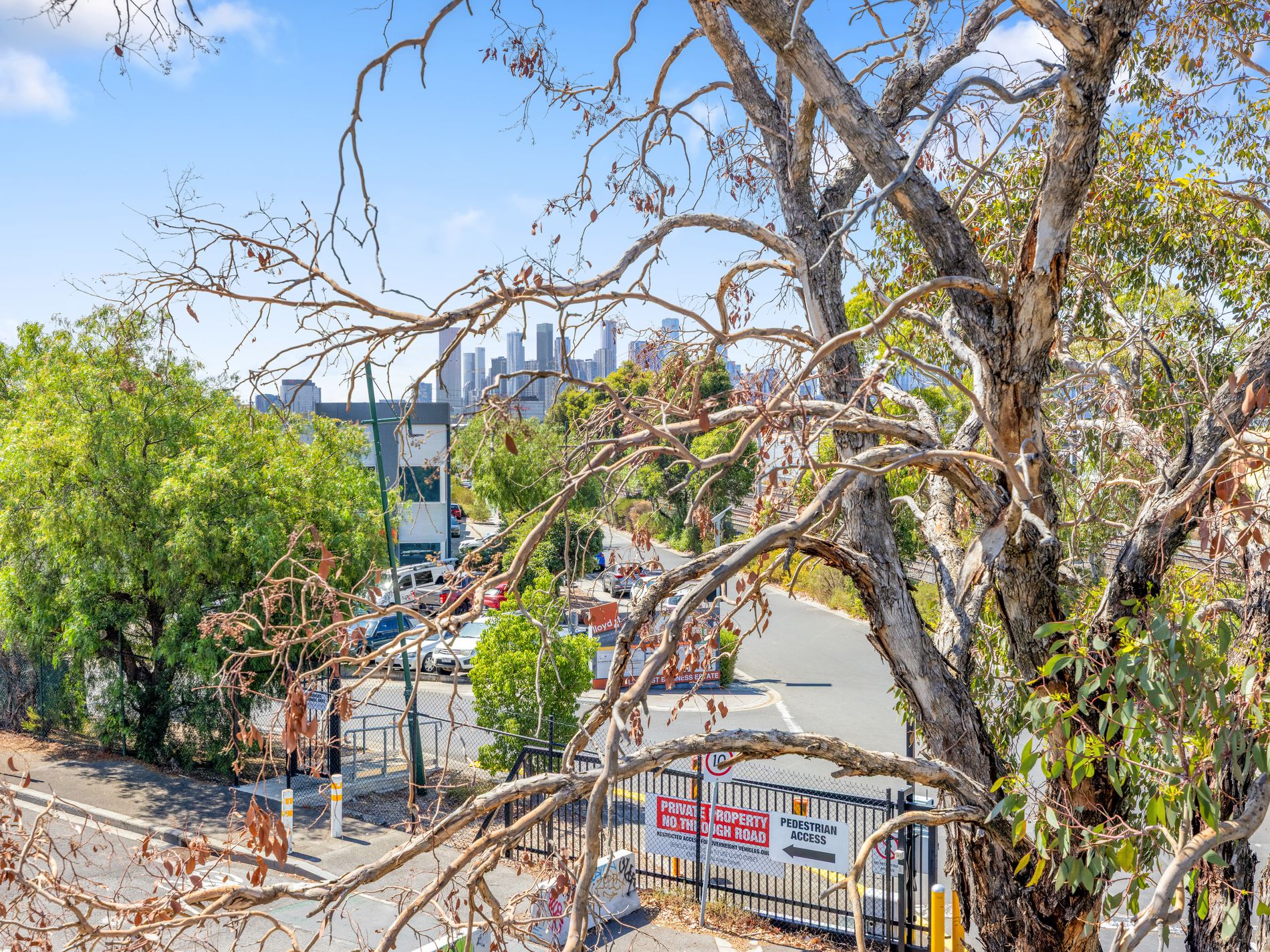 126 Tennyson Street, Kensington