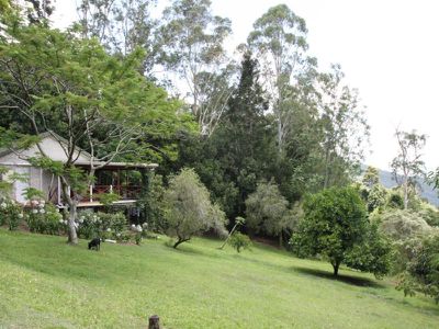 Landsborough