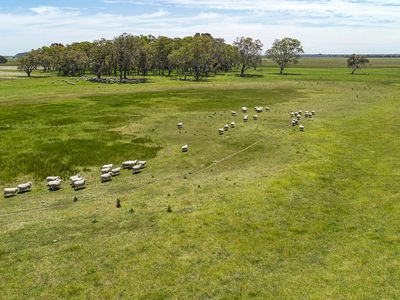 Lot 77 & 80, Fisher Road & O'Neils Lane Wattle Range, Millicent