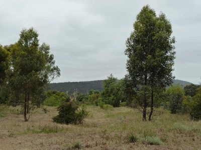 CA 8A CA 8A Back Kyneton Road, Heathcote