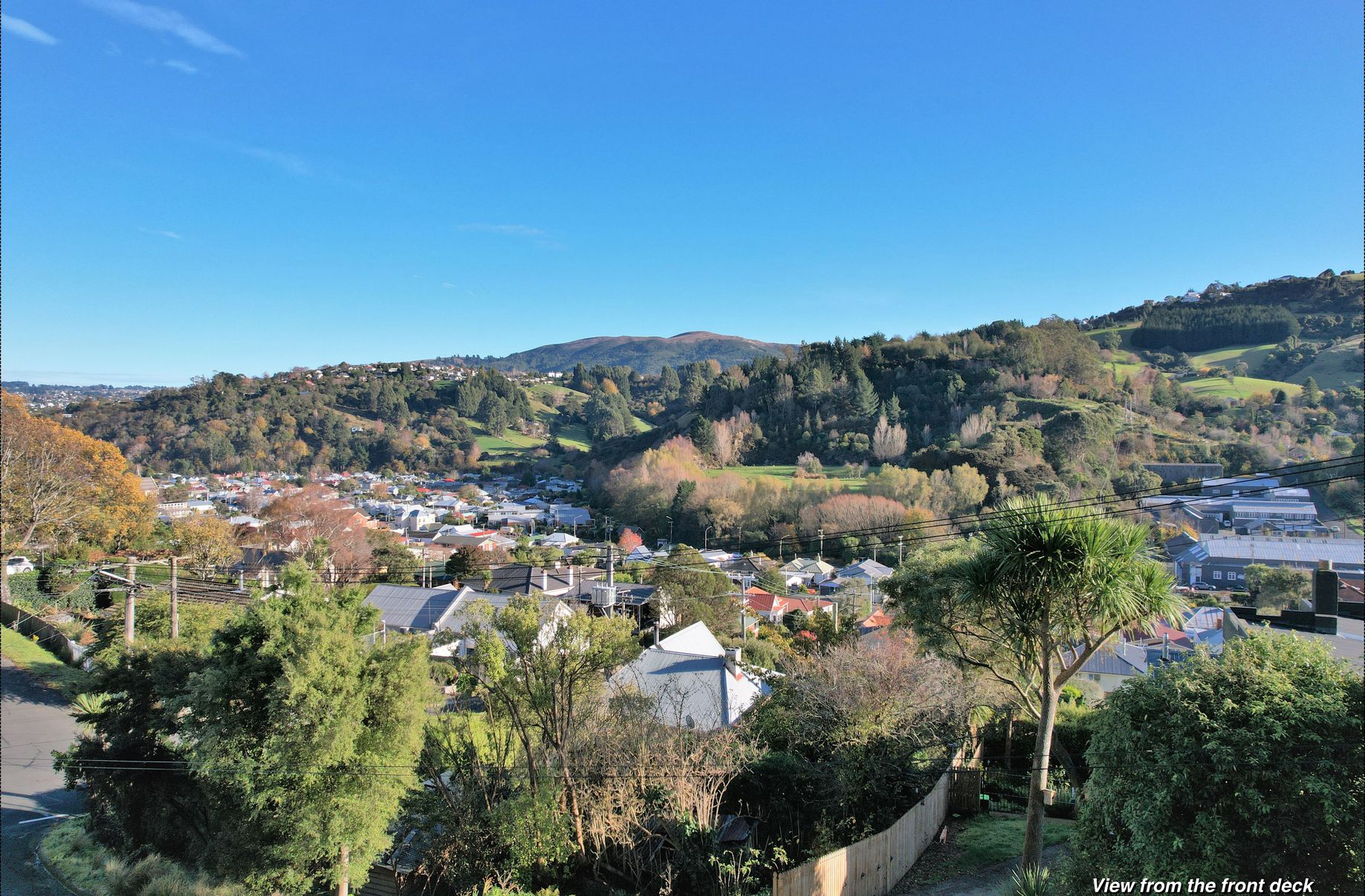 6 Cardigan Street, North East Valley