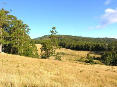 Office HUON / Highway, Dover