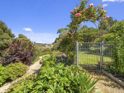 8 Kadina Road, Cambridge