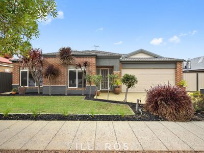 2 Anchor Court, St Leonards