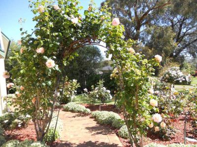 11 Kalimna Crescent, Mount Gambier