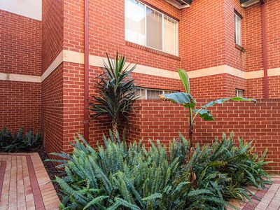 16 / 62 Bronte Street, East Perth