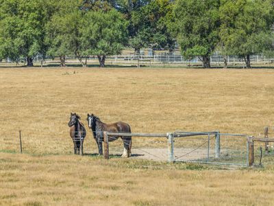 353 Lyons Road, Tarrawingee