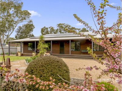 58 Melrose Street, Mount Pleasant