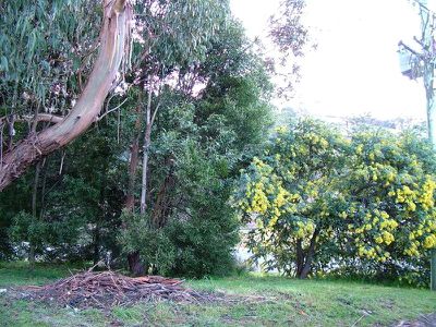 1103 Woodbridge Hill Road, Gardners Bay