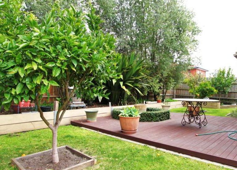 53 Ormond Road, Clayton