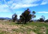 Lot 2, 660 Icely Road, Orange