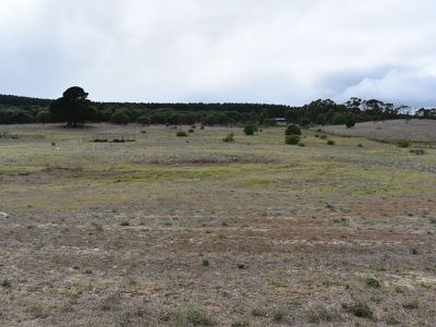 794 Thomas Road, Rocky Camp