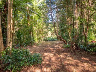 9 Left Bank Road, Mullumbimby