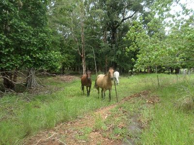 3146 Endeavour Valley Road, Cooktown