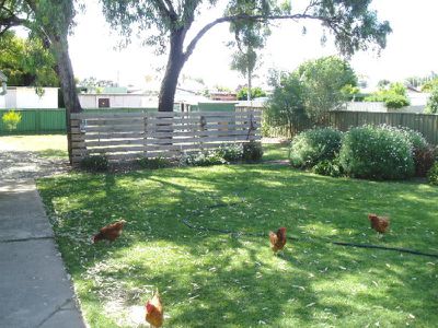 16 Bankhead , Cohuna