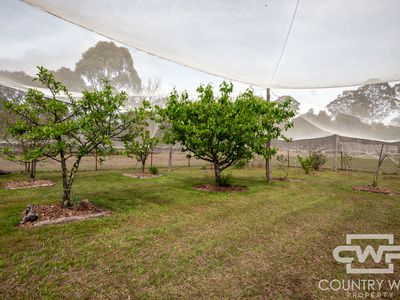 40 Catarrh Creek Road, Torrington