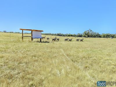 1682 Northern Highway, Heathcote