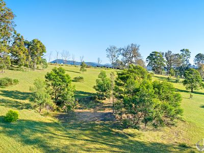 352 Bodalla Park Drive, Bodalla