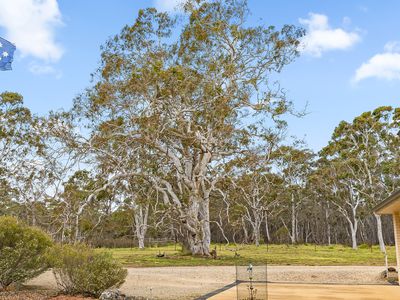 107 Webbs Road, Braidwood