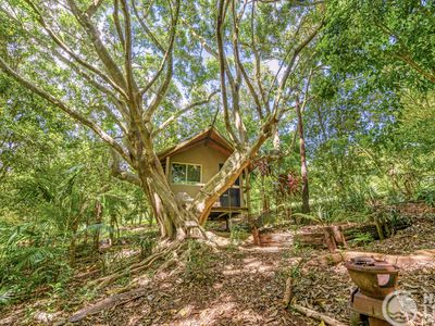 577 Humpty Back Road, Pearces Creek