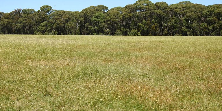 Lot 1 & 2, Bonniedoon Road Marraweeny, Strathbogie