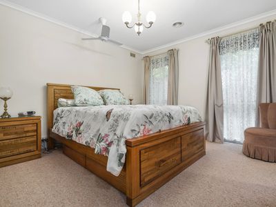 16 Gardiner Street, Gisborne