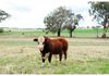 3629 Mitchell Highway, Millthorpe