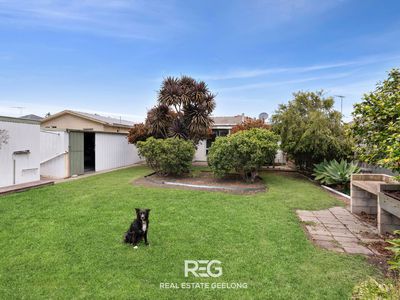 58 Summit Avenue, Belmont